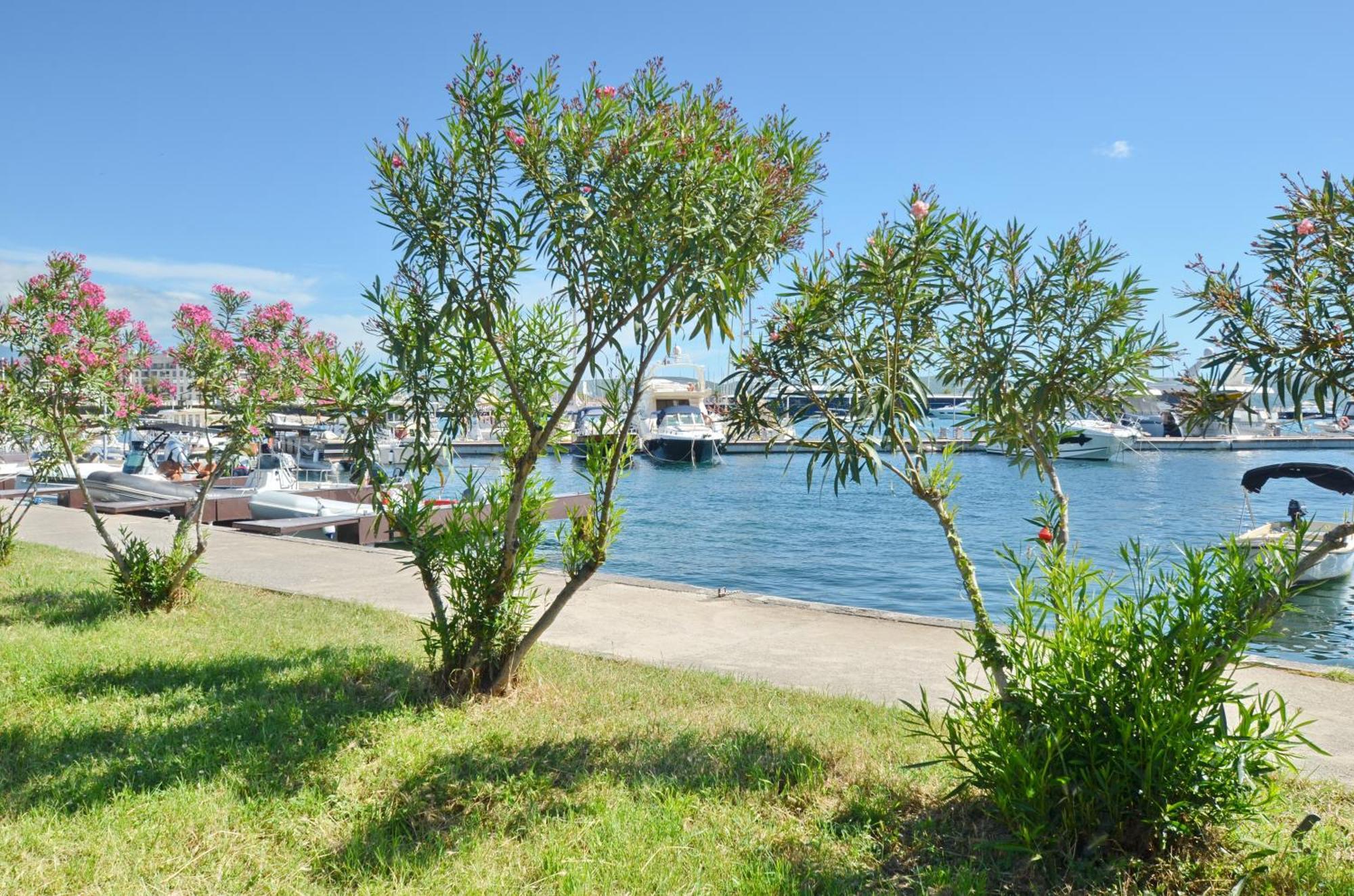 Trojanovic Apartments Tivat Eksteriør billede